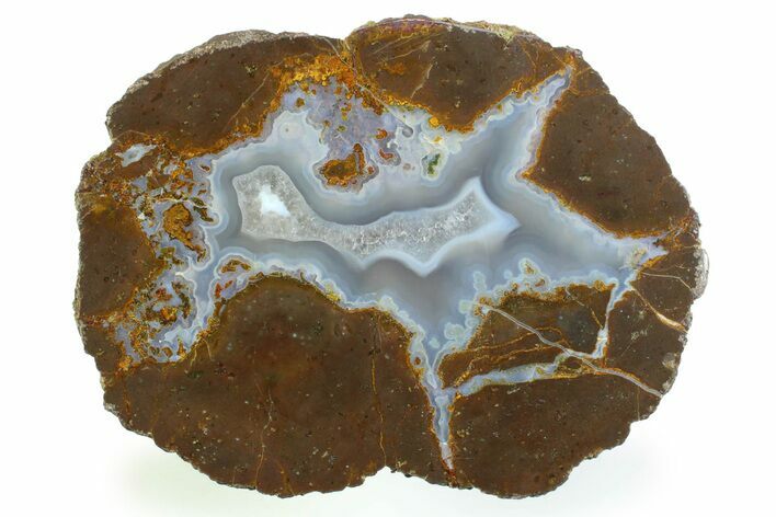 Colorful Polished Thunderegg Half - Nevada #337851